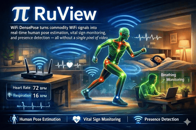 RuView WiFi CSI 实时姿态与体征估计动态展示